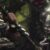 ivern3
