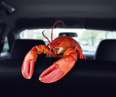 Humr_na_zadnim_sedadle_taxi_0