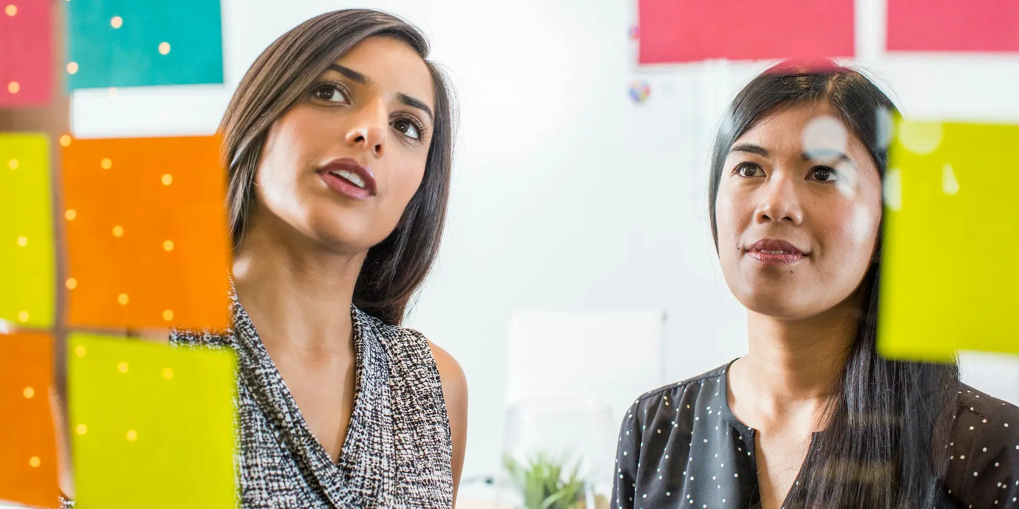 Organizační dovednosti